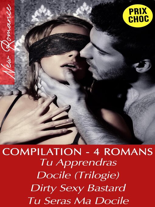 Title details for Compilation 4 Romans / Intégrales Adultes by Rose Dubois - Wait list